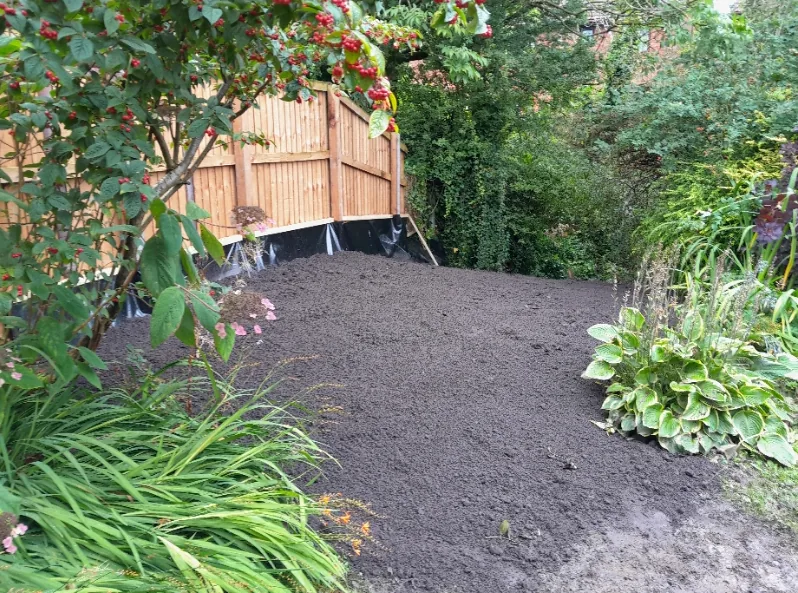Garden after clearance