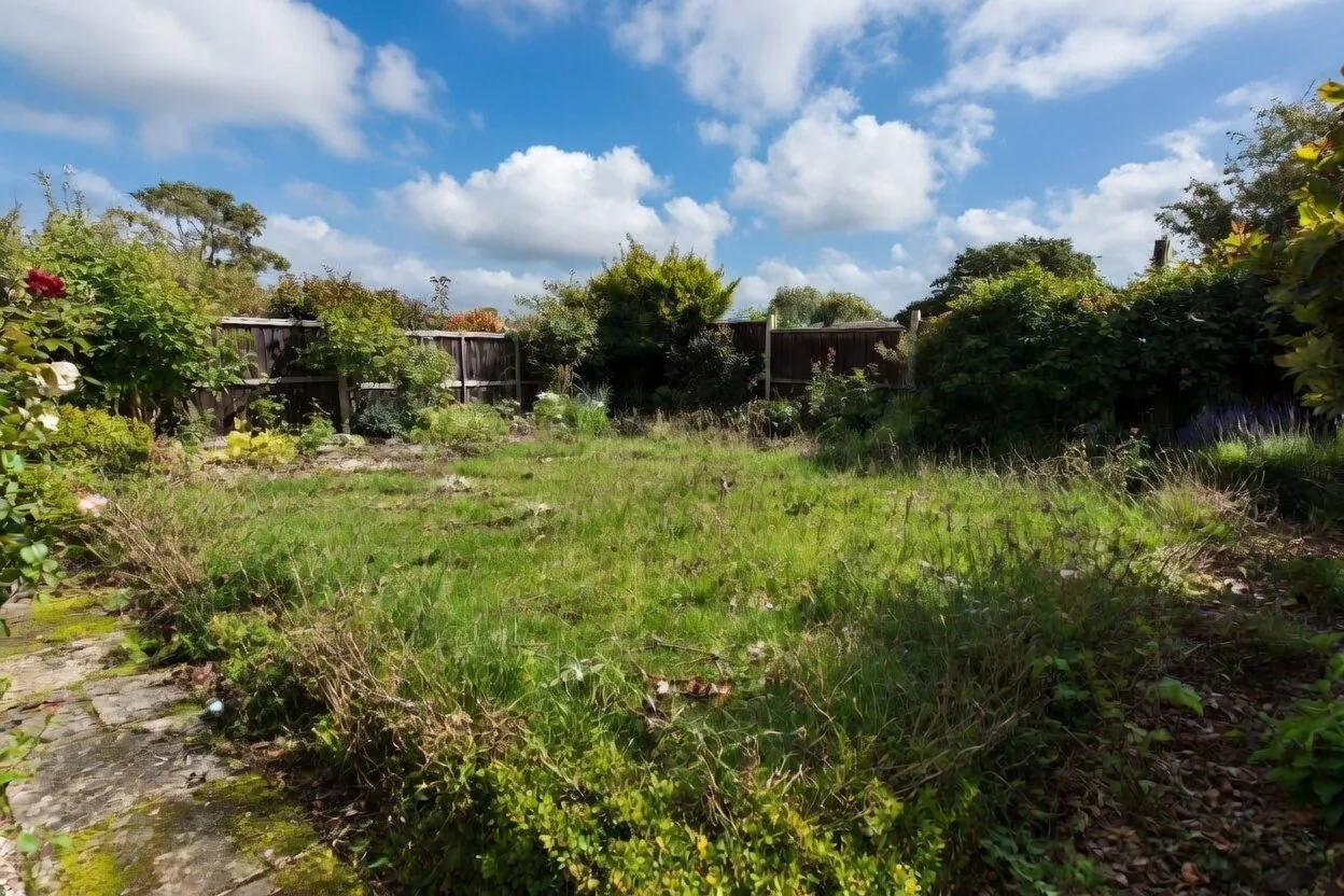 Garden before tidy-up