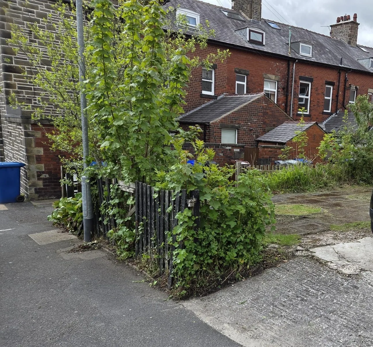 Hedge after reduction