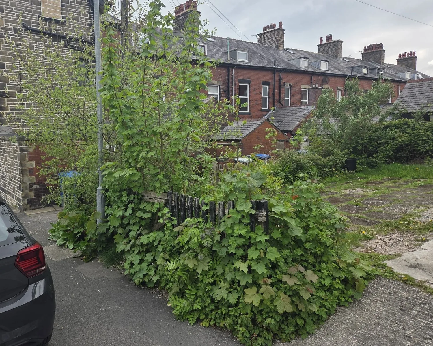 Hedge before reduction