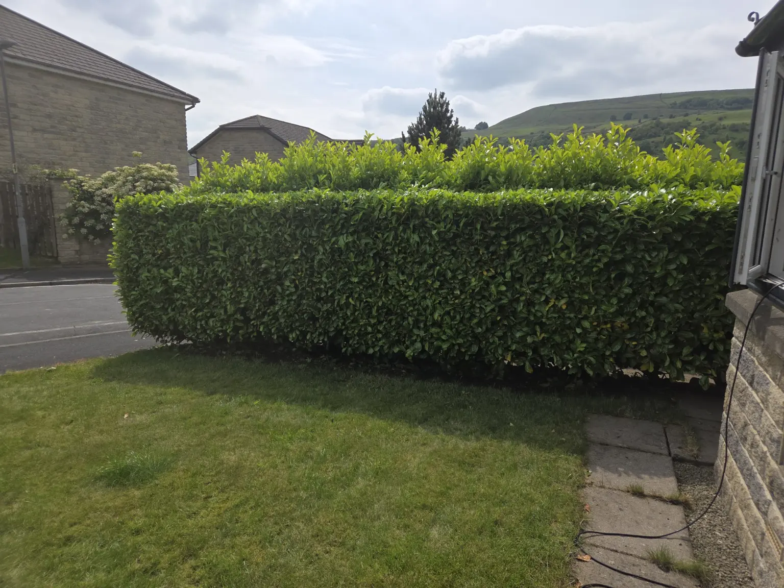 Boundary hedge after Green Valley trimming and shaping