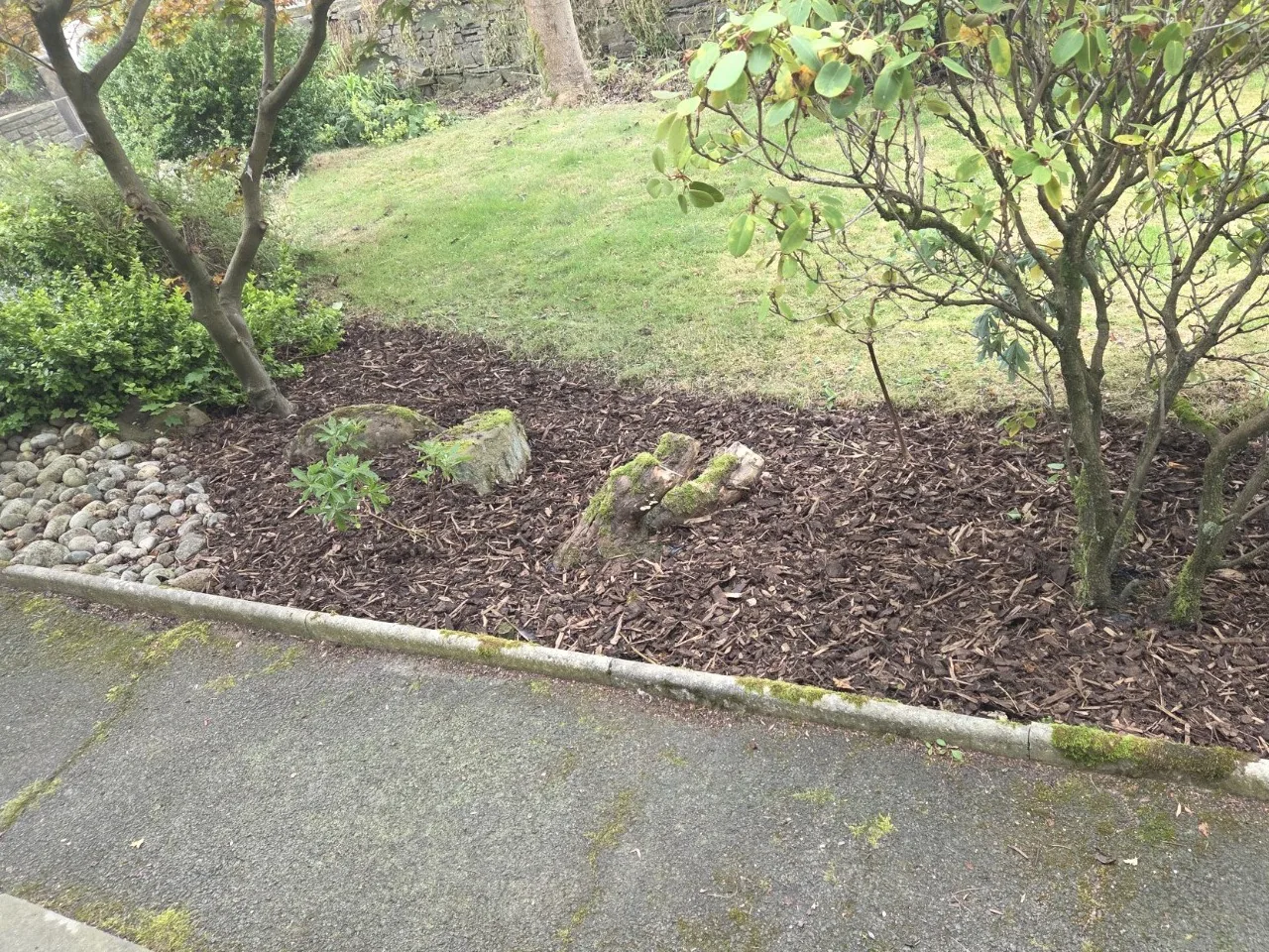 Garden bed after membrane and woodchip