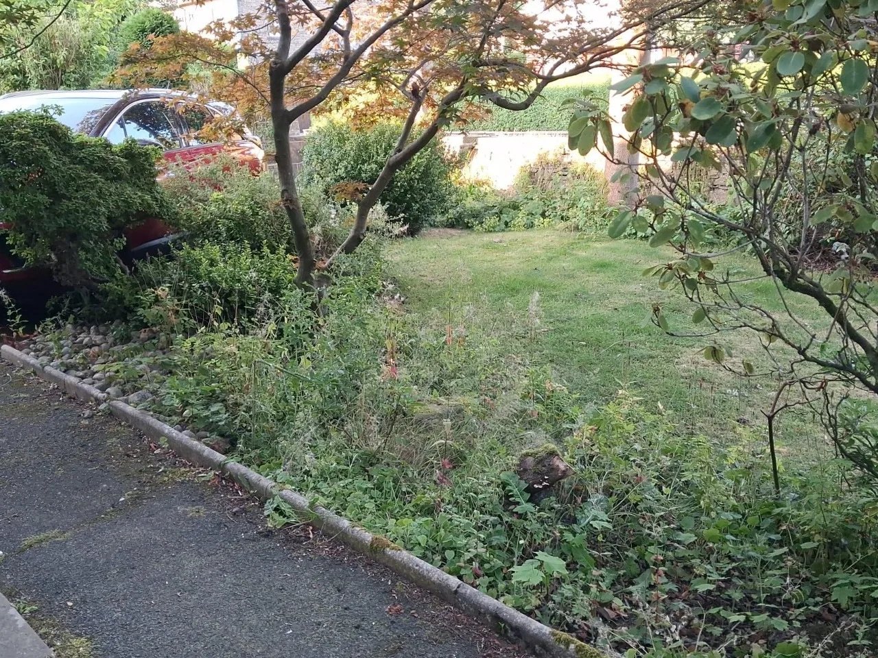 Weedy garden bed before work